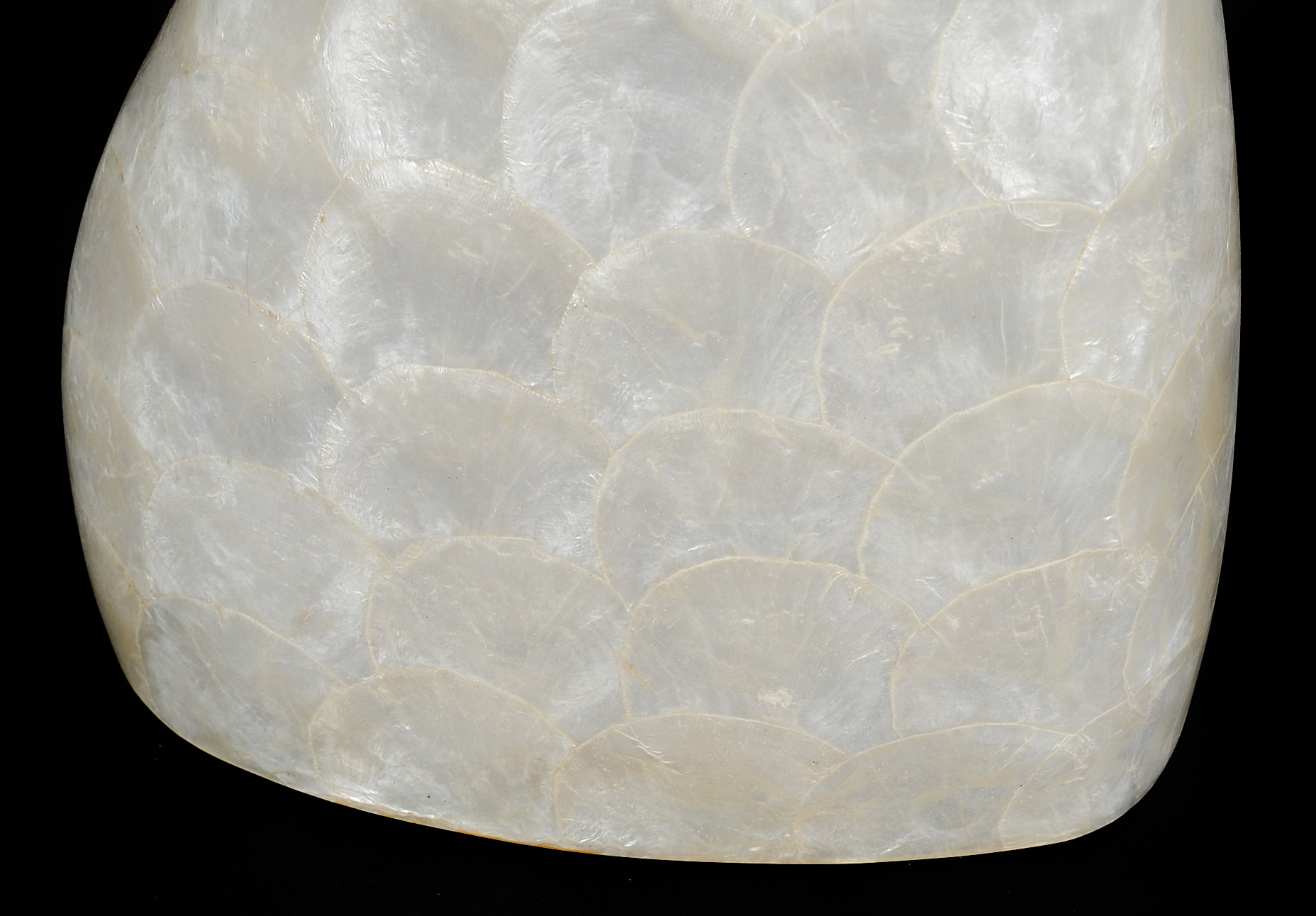 Collection of Marquis Vases of Beverly Hills