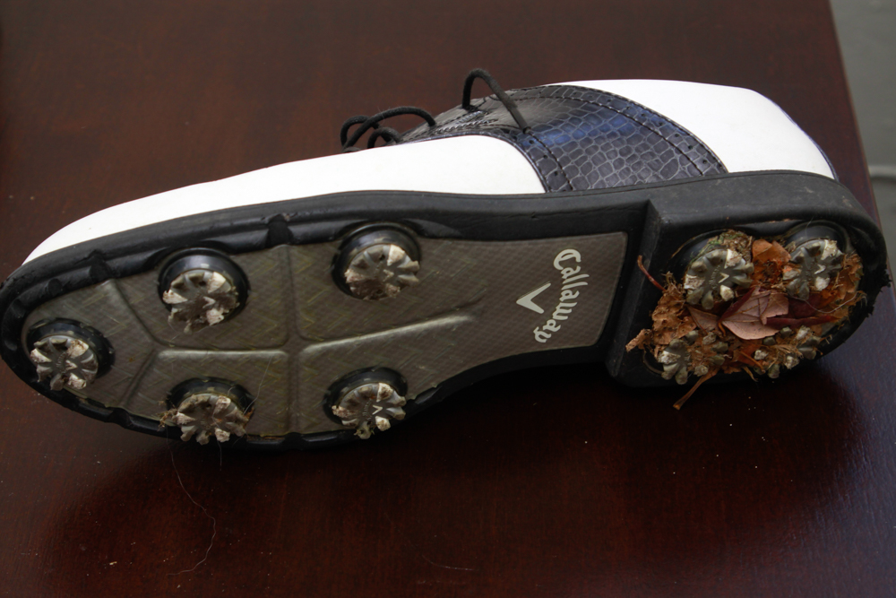 Collection of Women's Golf Shoes