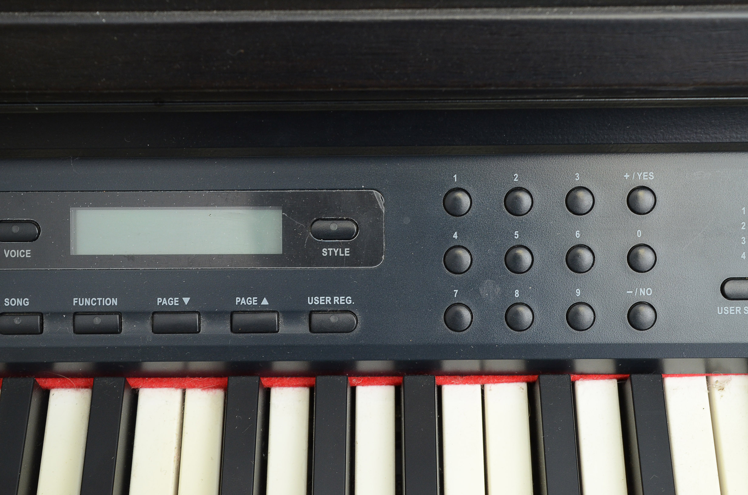 Williams Symphony Digital Keyboard Piano