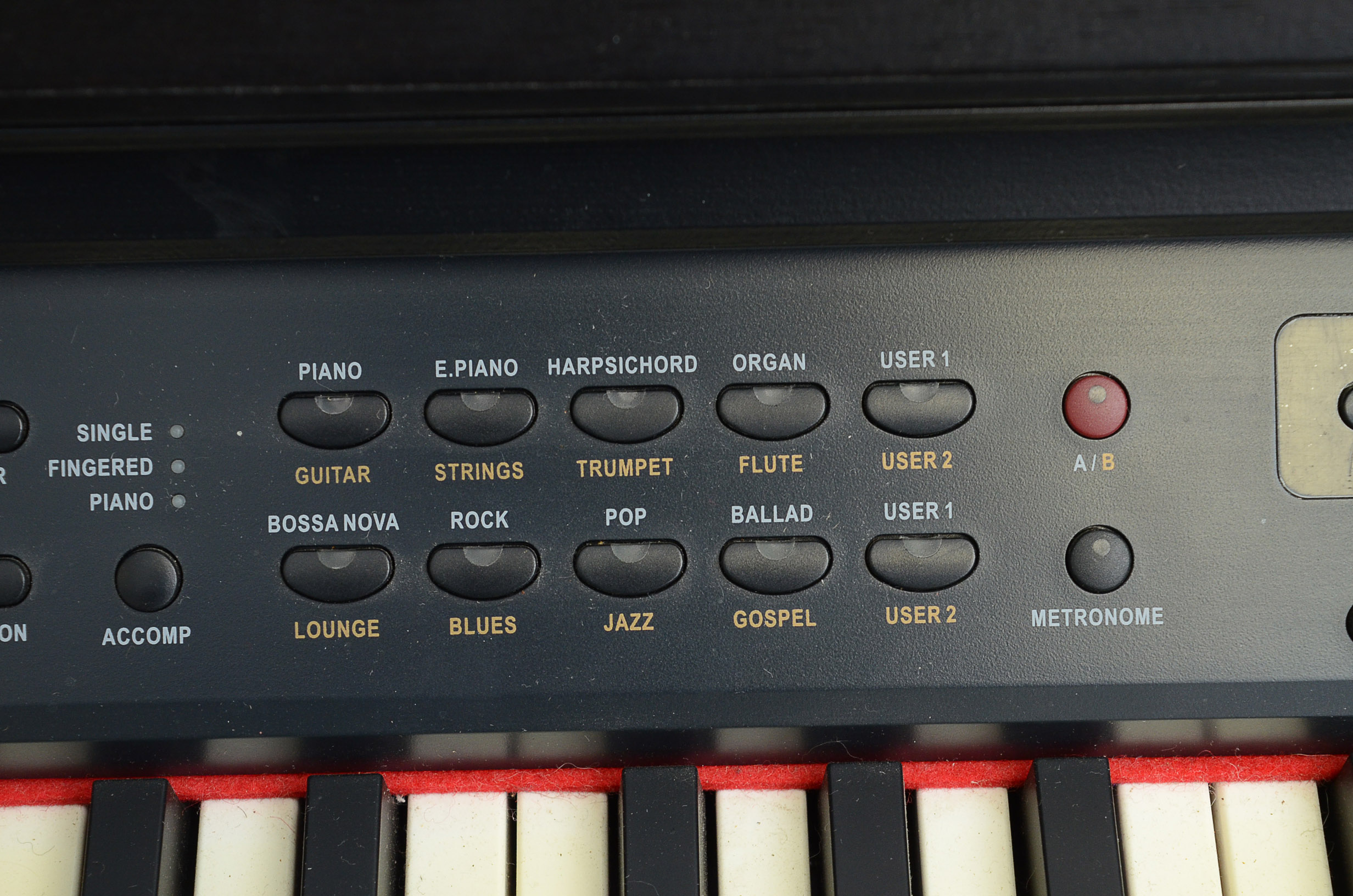 Williams Symphony Digital Keyboard Piano