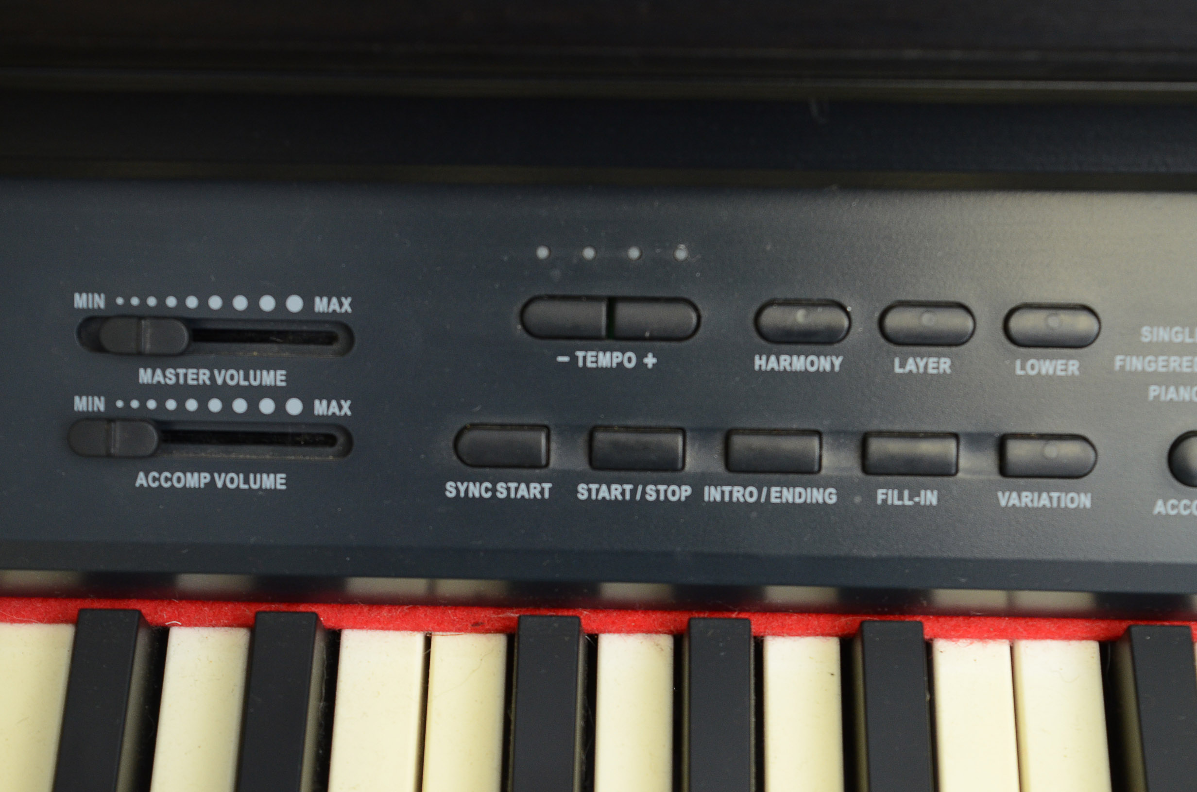 Williams Symphony Digital Keyboard Piano