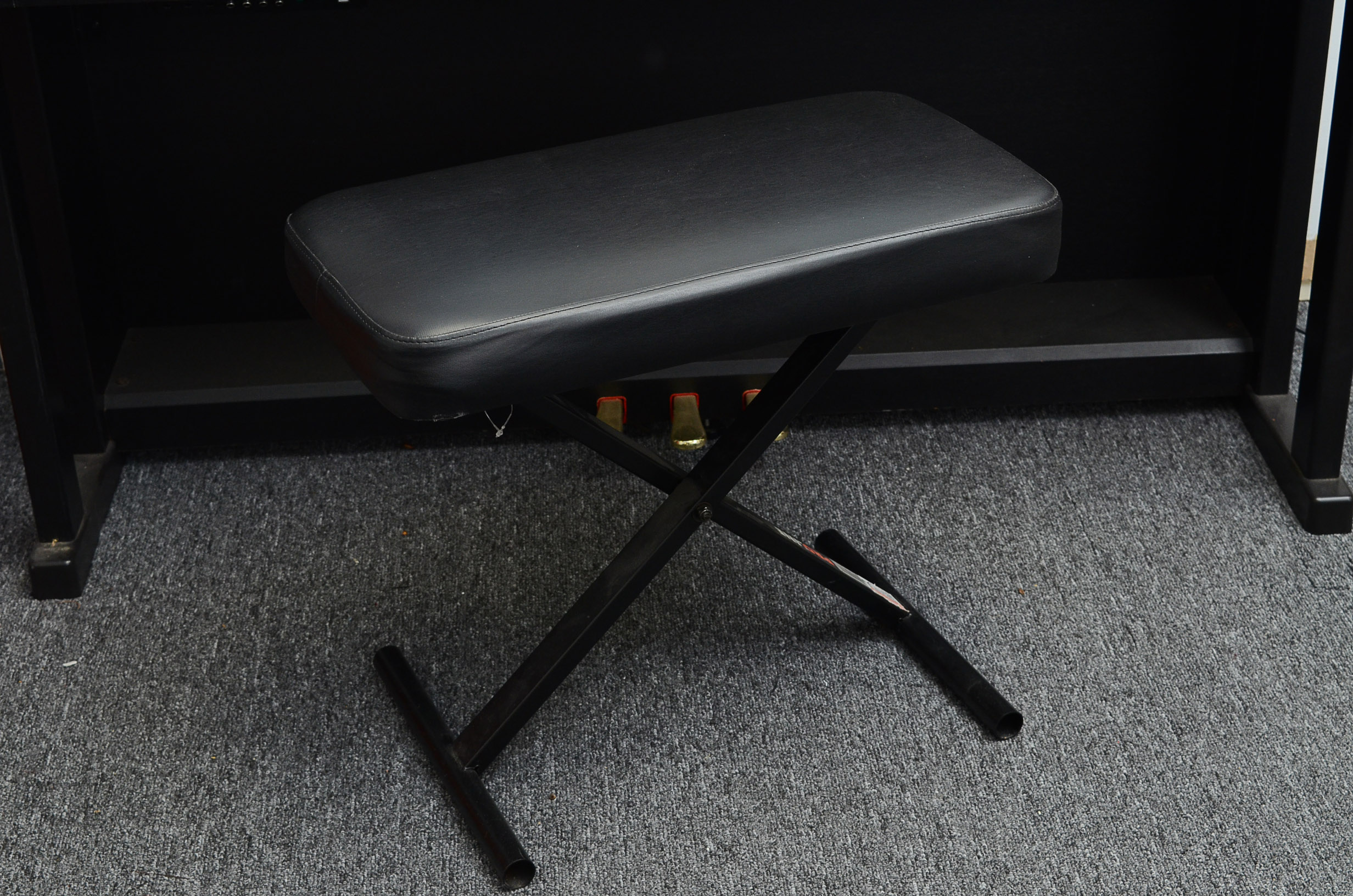 Williams Symphony Digital Keyboard Piano