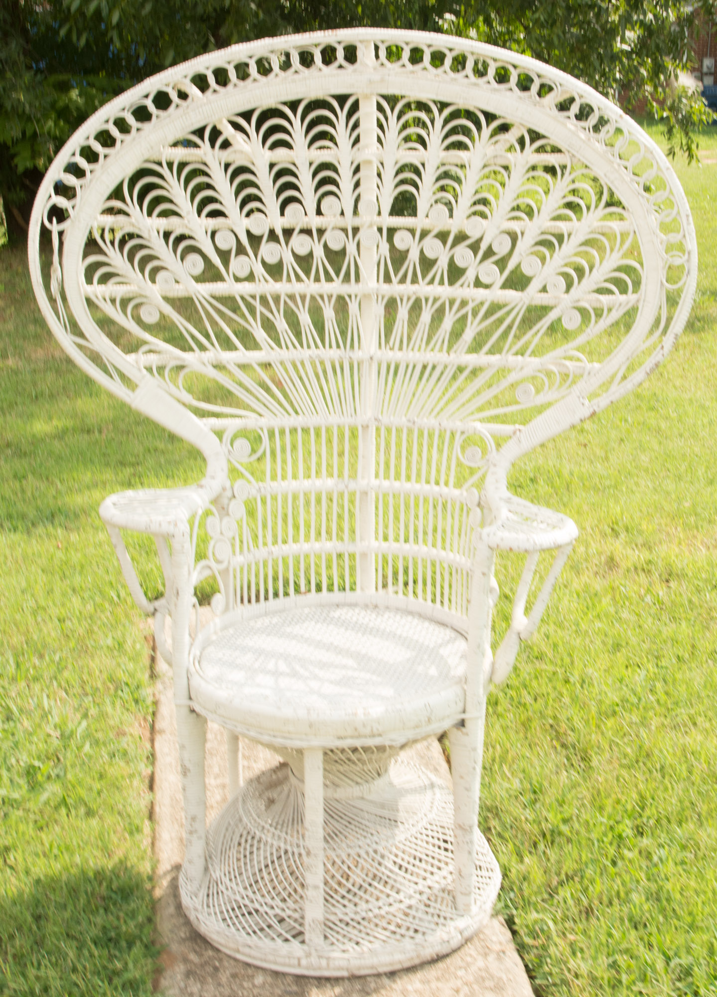 White Wicker Peacock Fan Back Chair