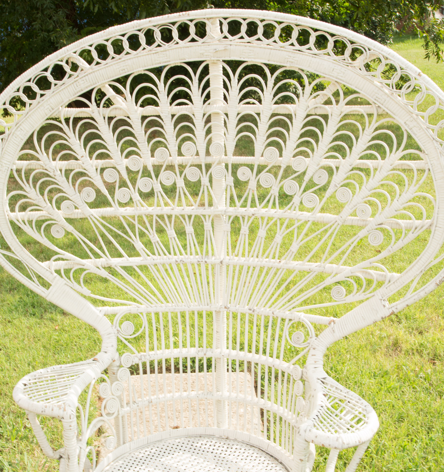 White Wicker Peacock Fan Back Chair