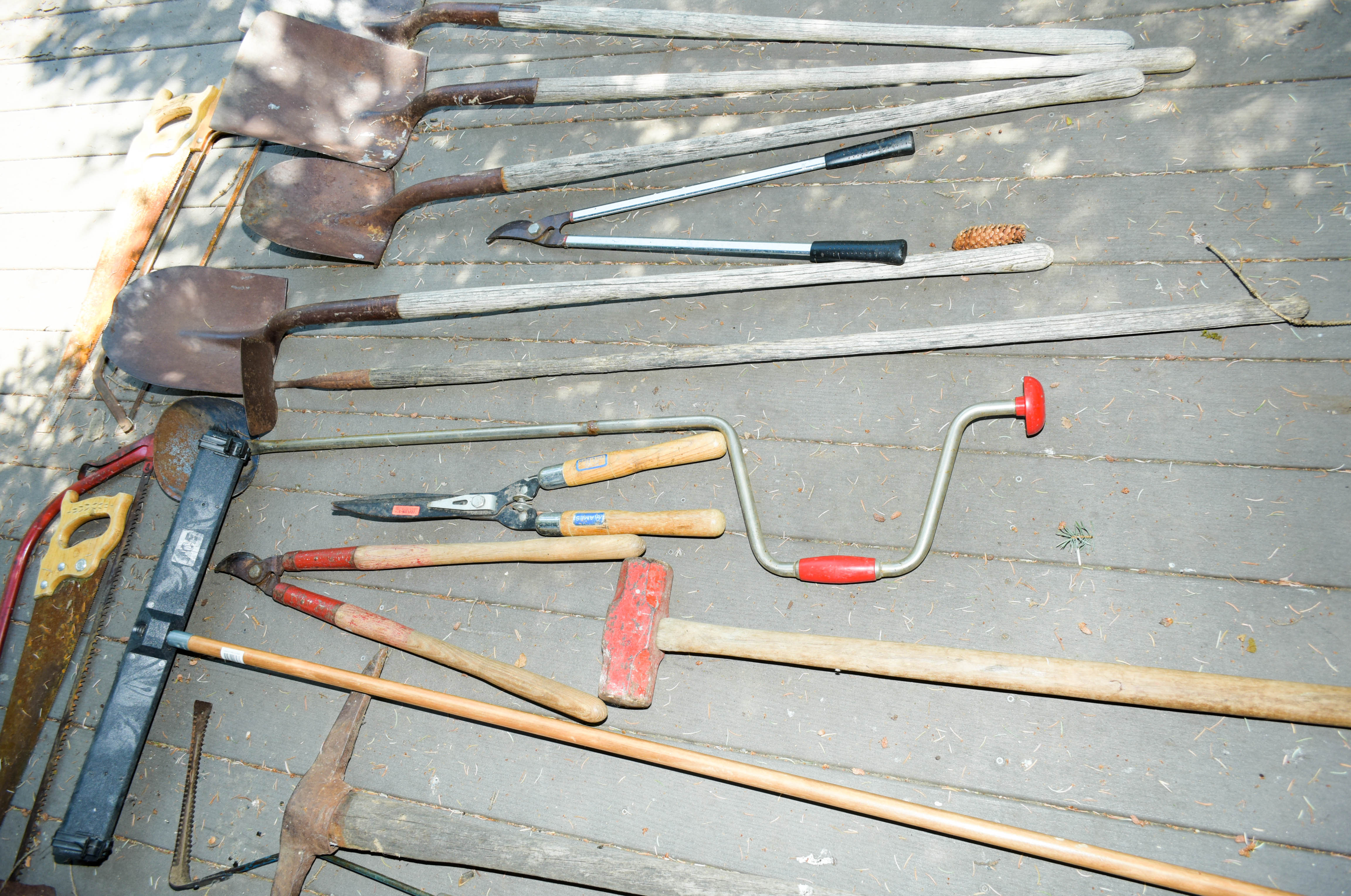 Gathering of Large Garage Tools