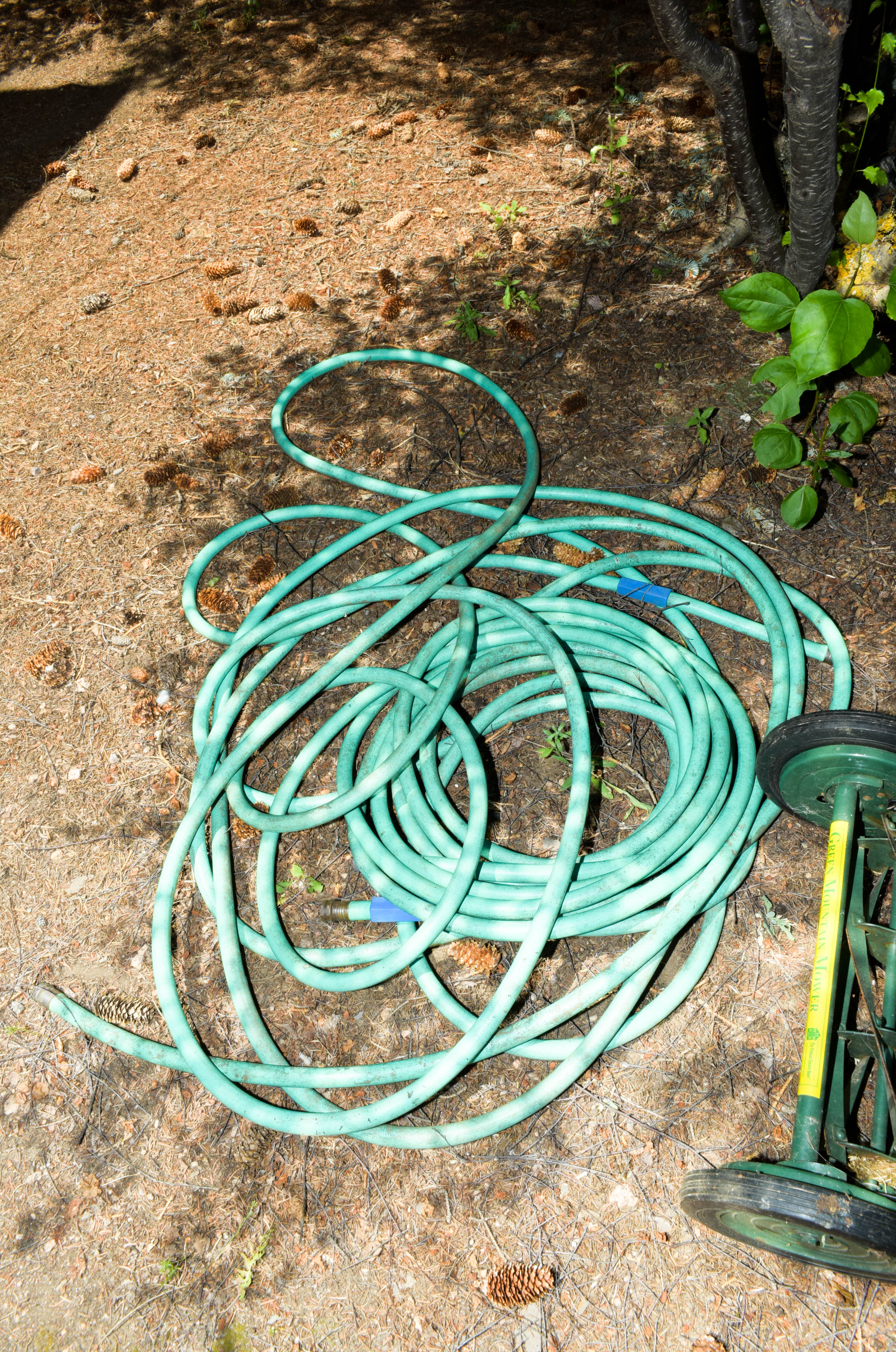 Green Push Mower and Yard Hose