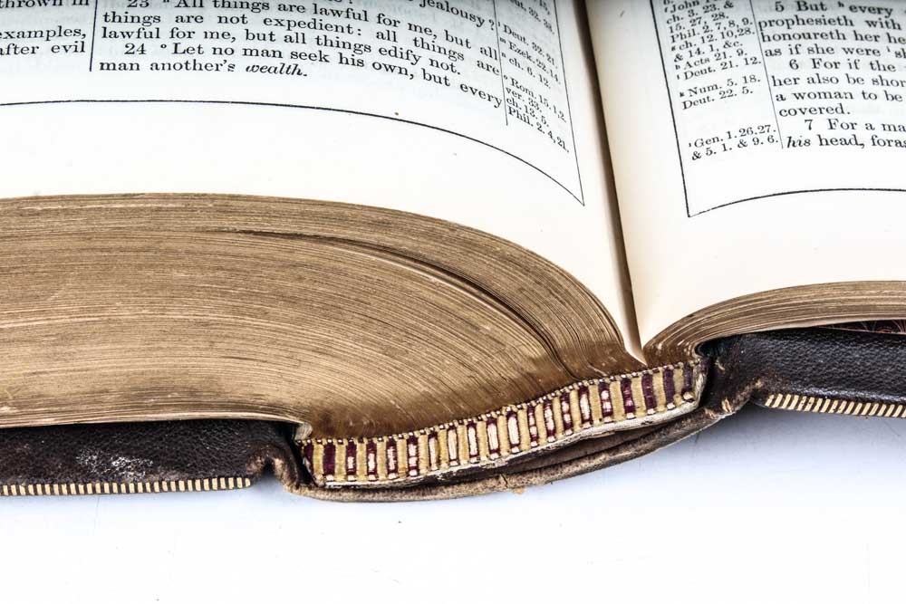 1883 "America Illustrated" and 1884 Holman's Edition of "The Holy Bible"