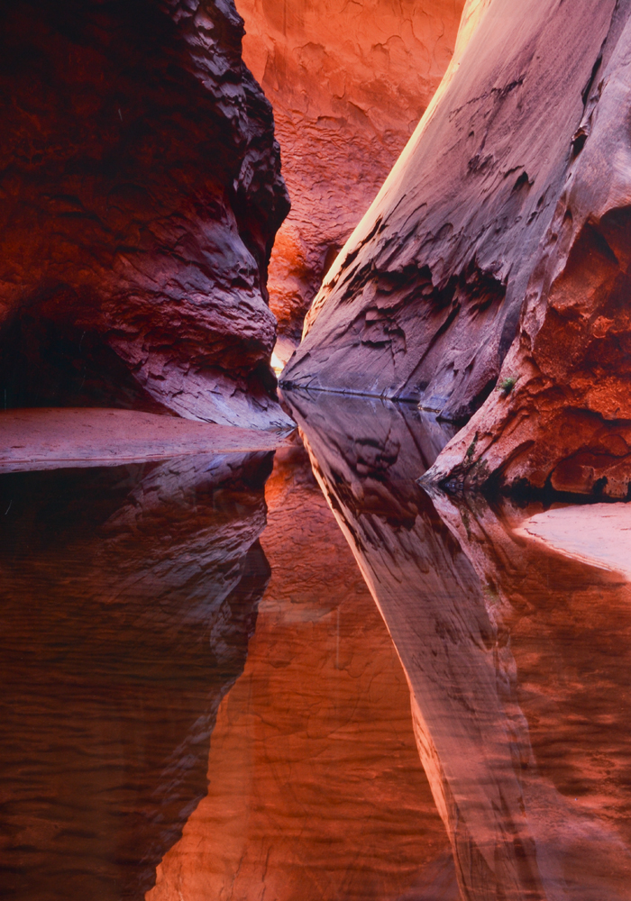 "Refractive" Framed Photograph