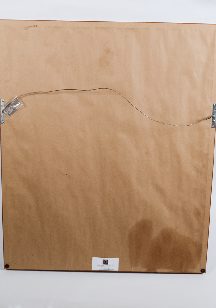 "Refractive" Framed Photograph