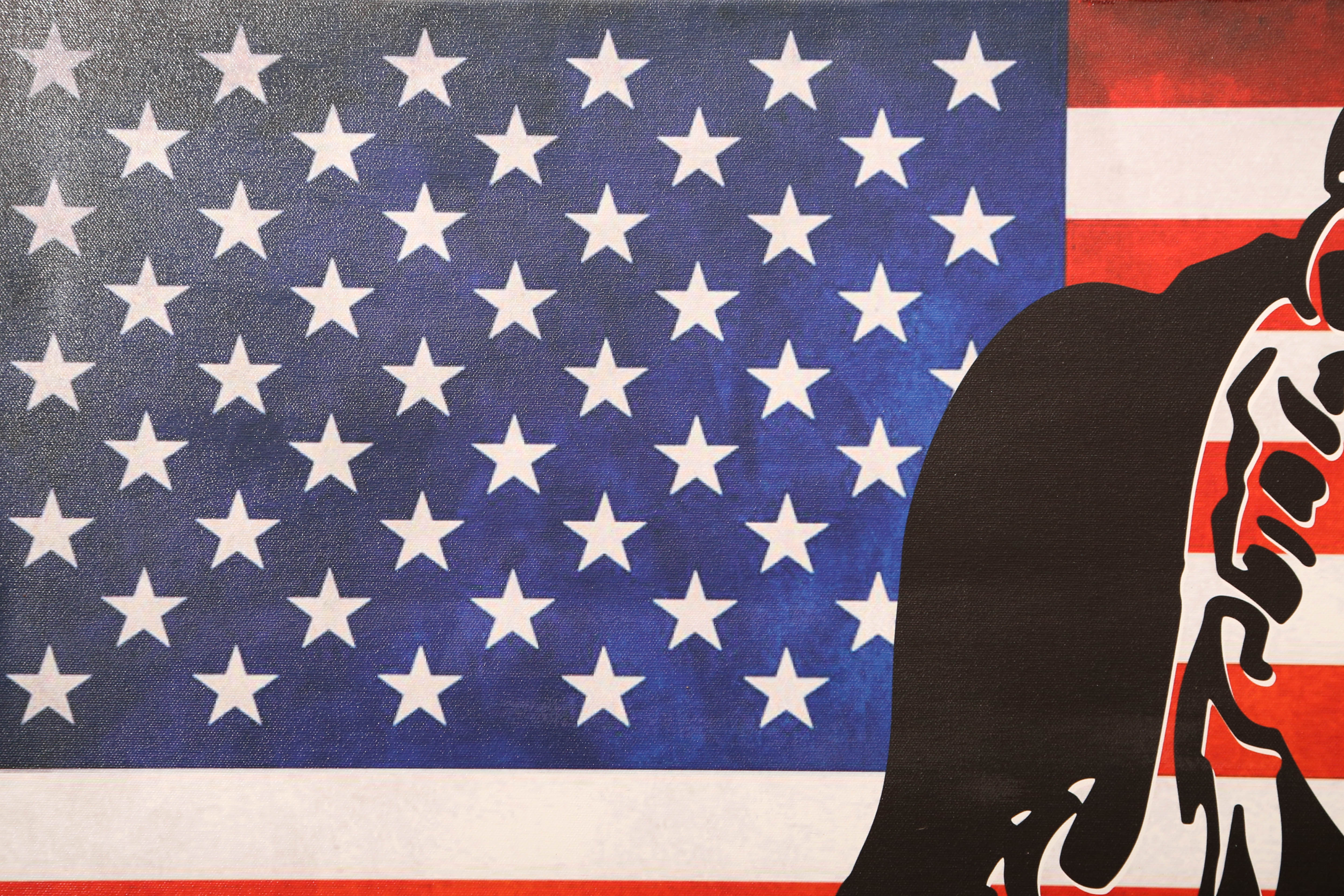 Andrew VanSickle "Weeping Supergirl/American Flag" Signed Silkscreen on Canvas