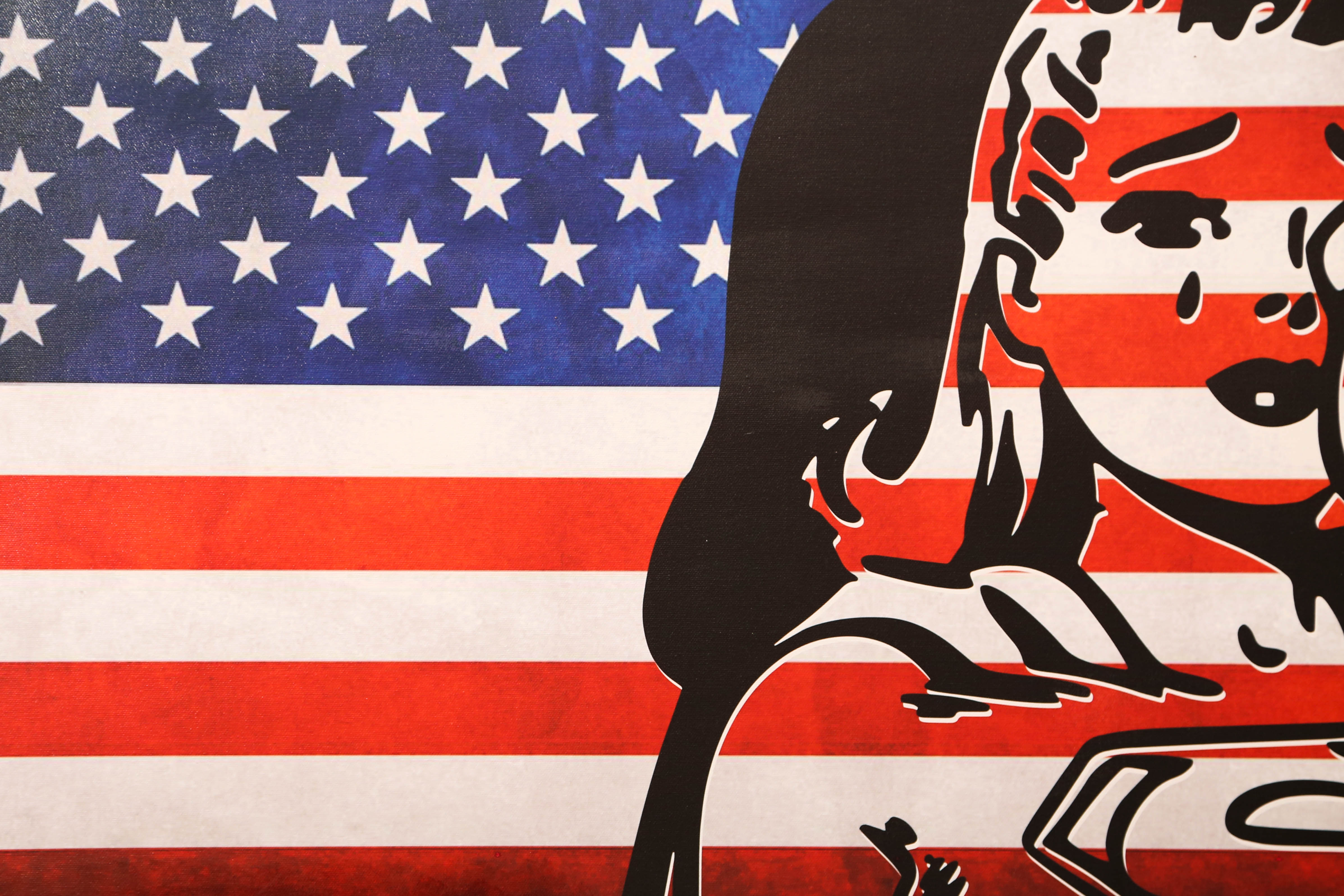 Andrew VanSickle "Weeping Supergirl/American Flag" Signed Silkscreen on Canvas