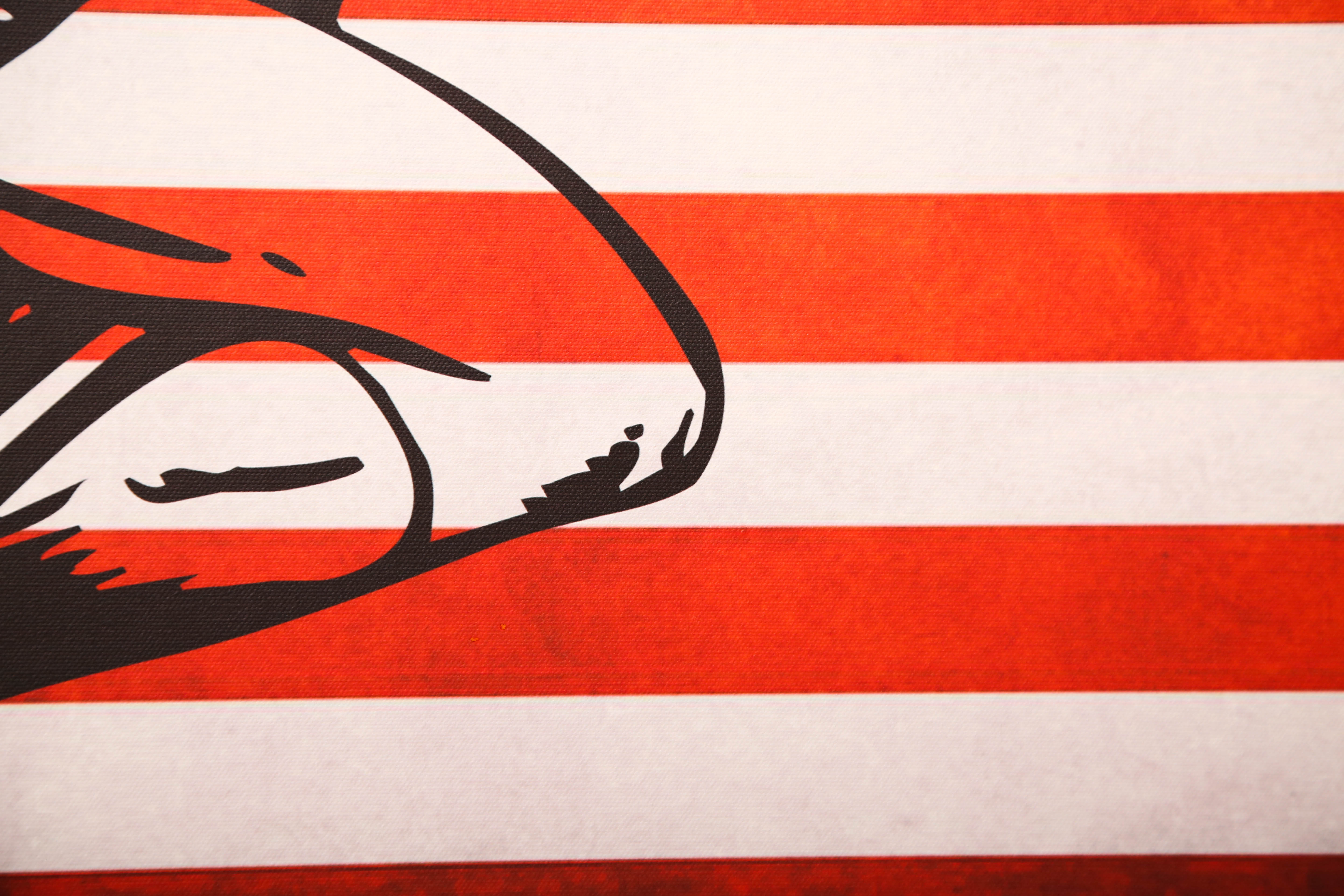 Andrew VanSickle "Superman 75/American Flag" Signed Silkscreen on Canvas