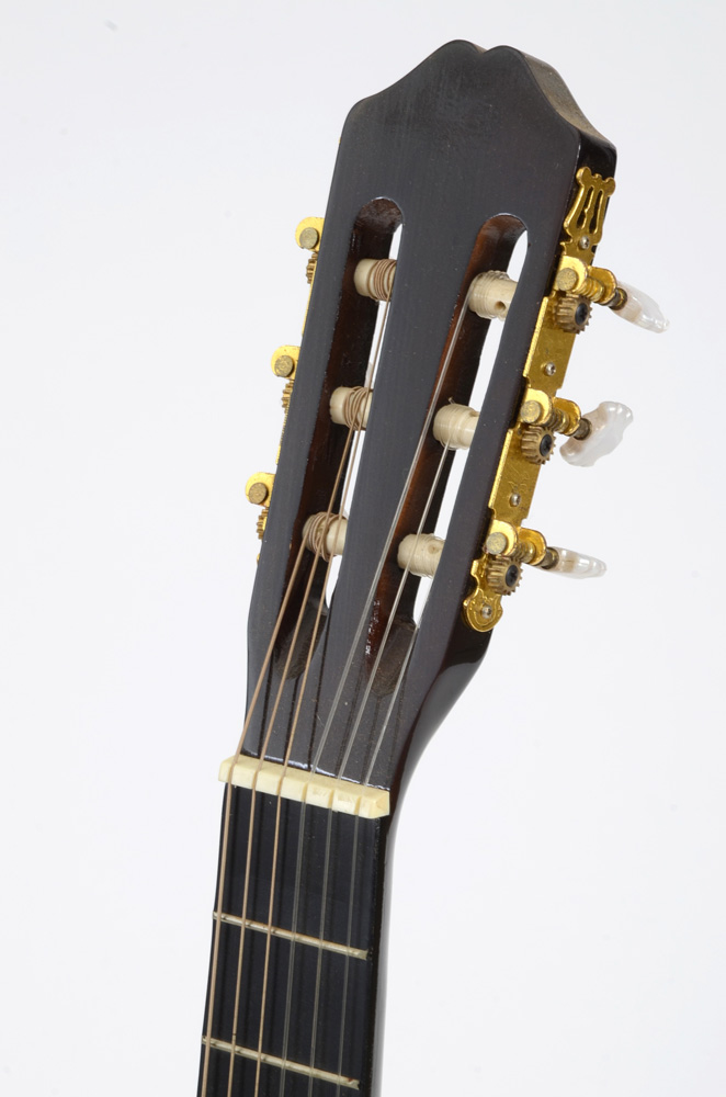 Burswood Esteban Signed Guitar