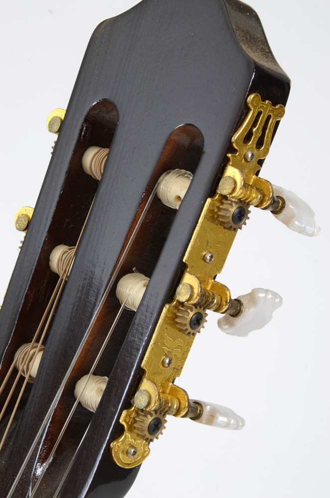 Burswood Esteban Signed Guitar