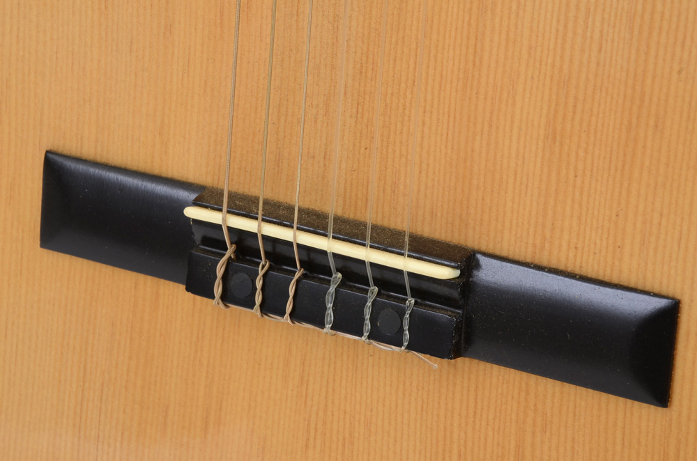 Burswood Esteban Signed Guitar