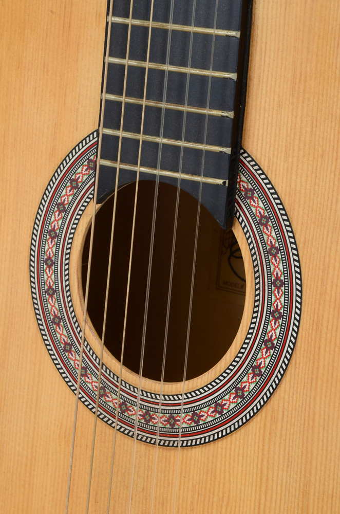 Burswood Esteban Signed Guitar