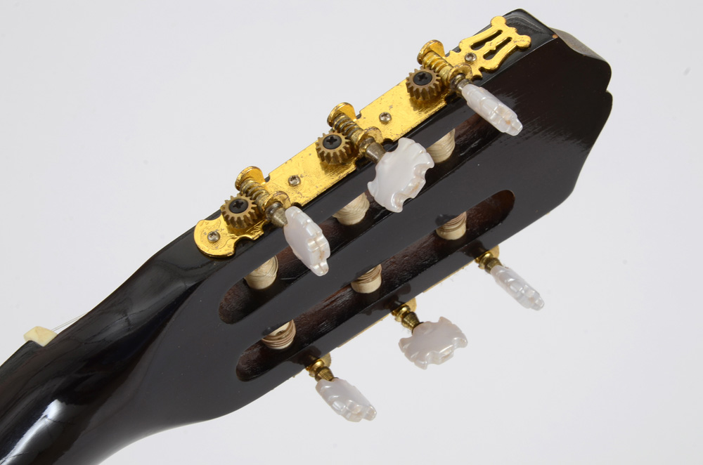 Burswood Esteban Signed Guitar