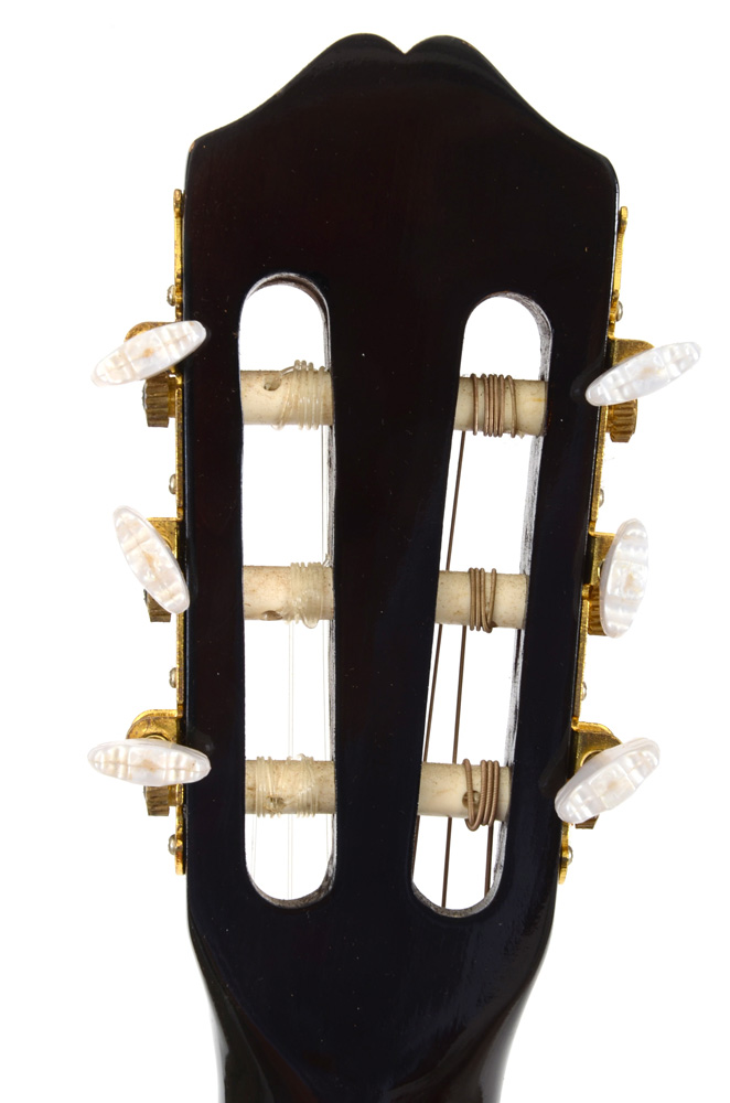 Burswood Esteban Signed Guitar