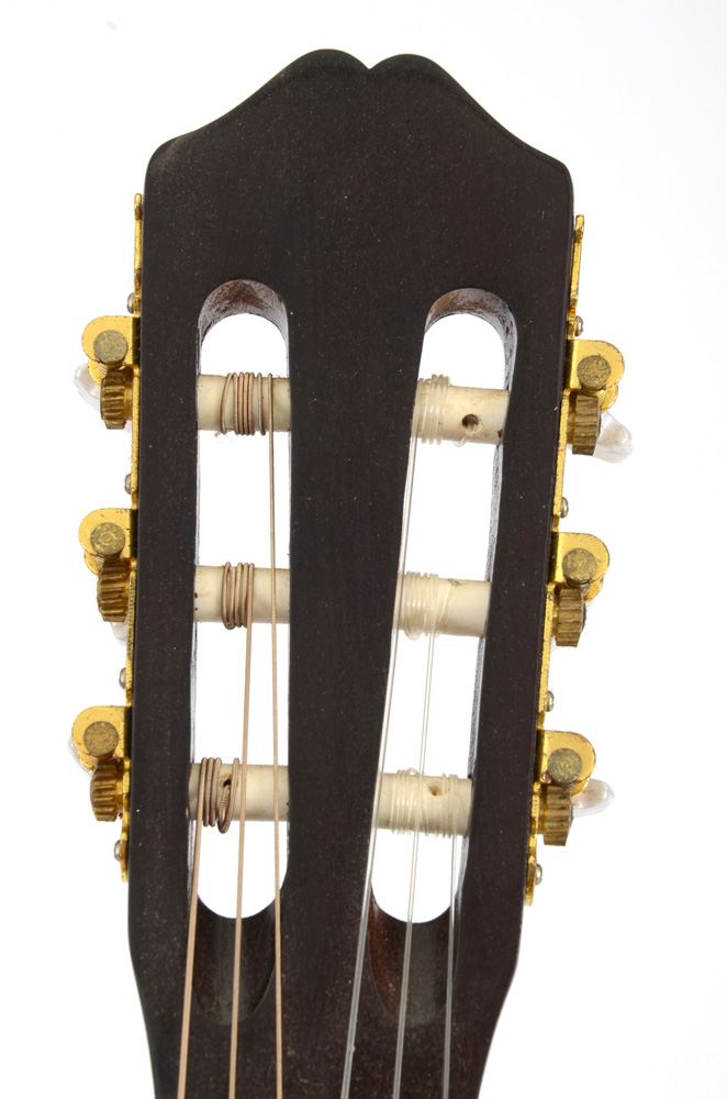 Burswood Esteban Signed Guitar