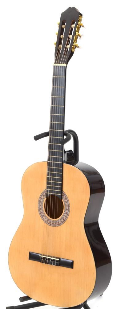 Burswood Esteban Signed Guitar