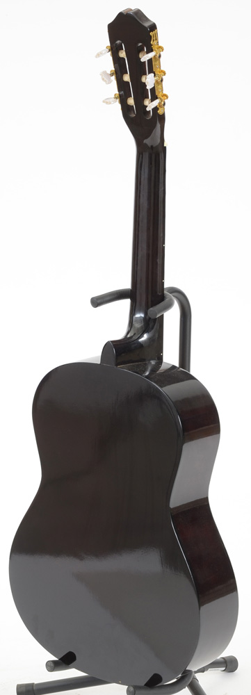 Burswood Esteban Signed Guitar