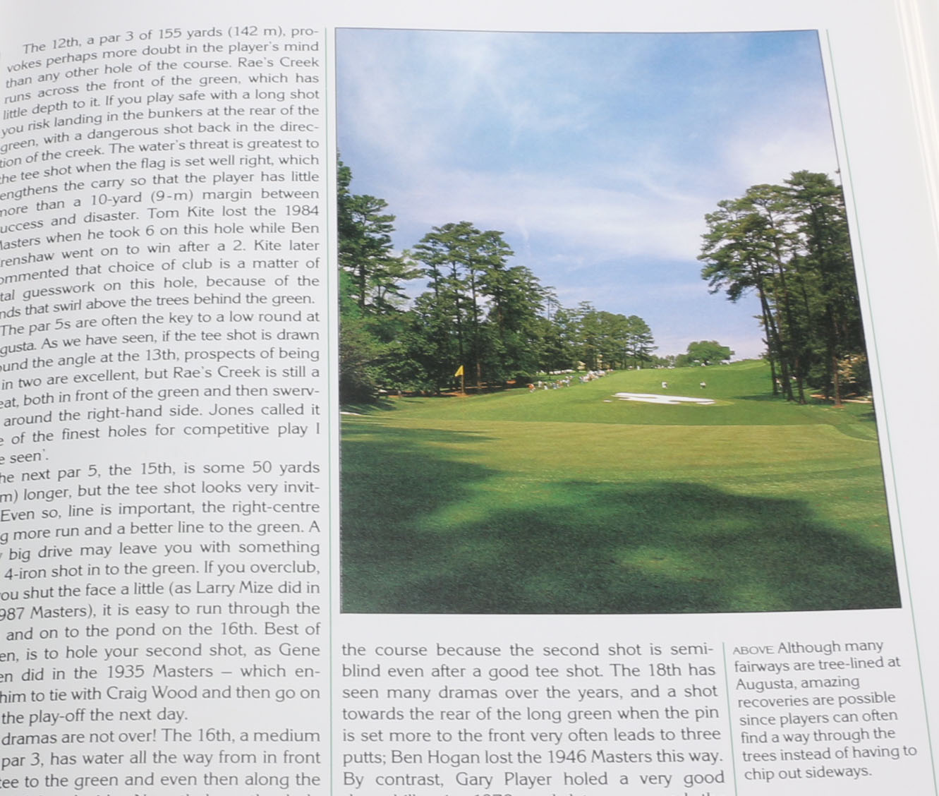 Set of Vintage and Modern Sports Books