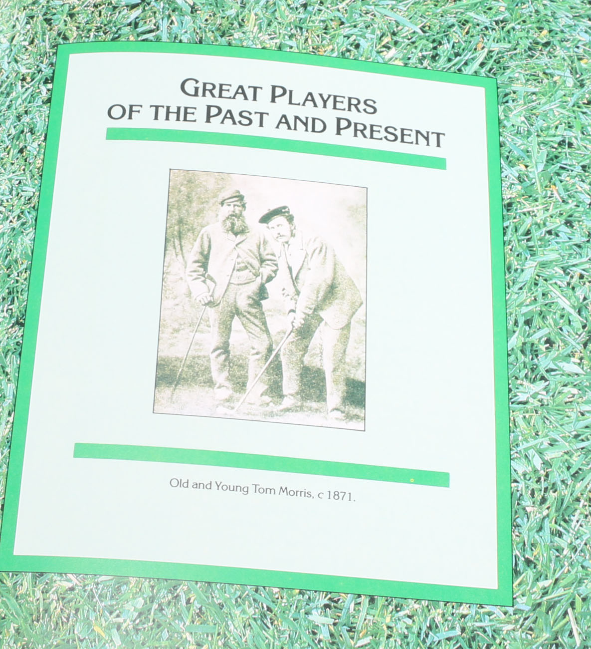 Set of Vintage and Modern Sports Books