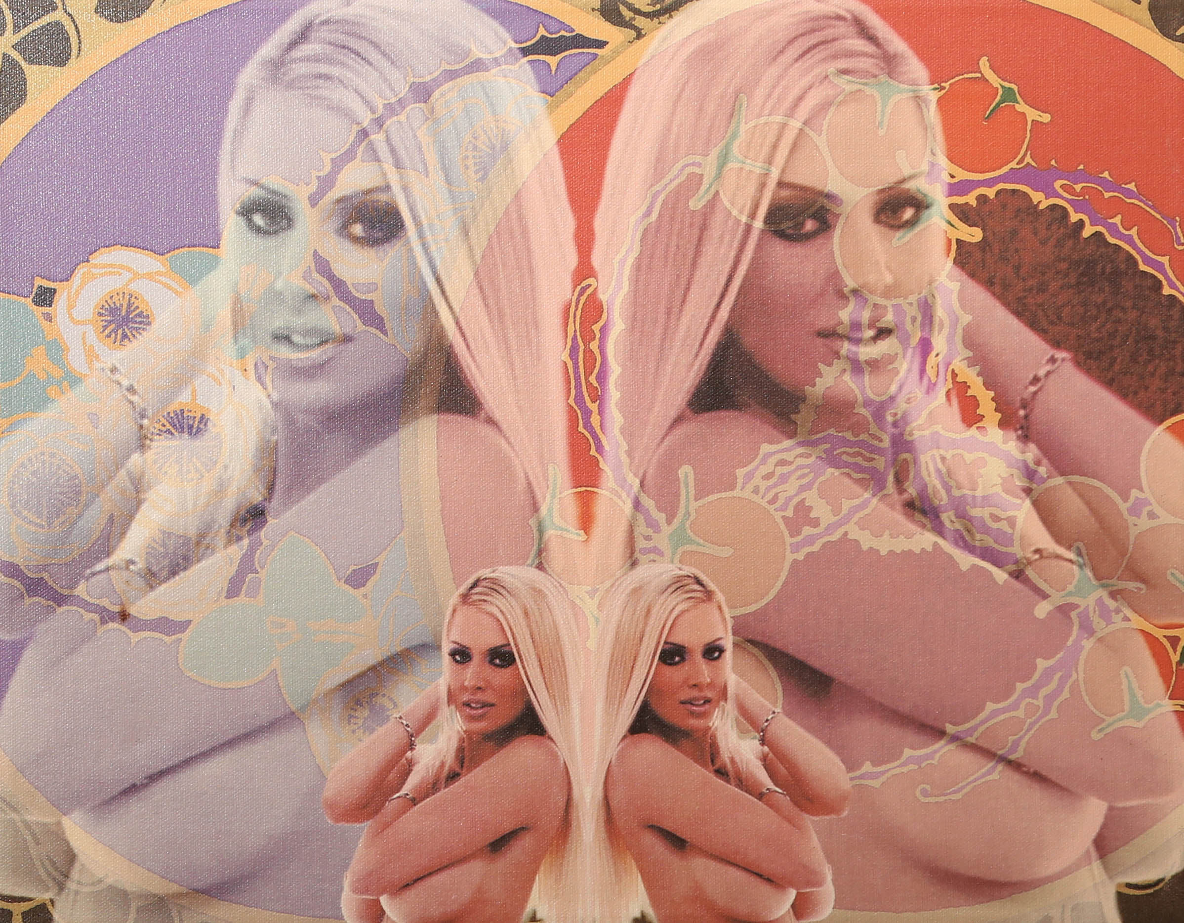 Andrew VanSickle "Translucent Double Jenna Jameson" SIgned Industrial Jet Ink on Canvas