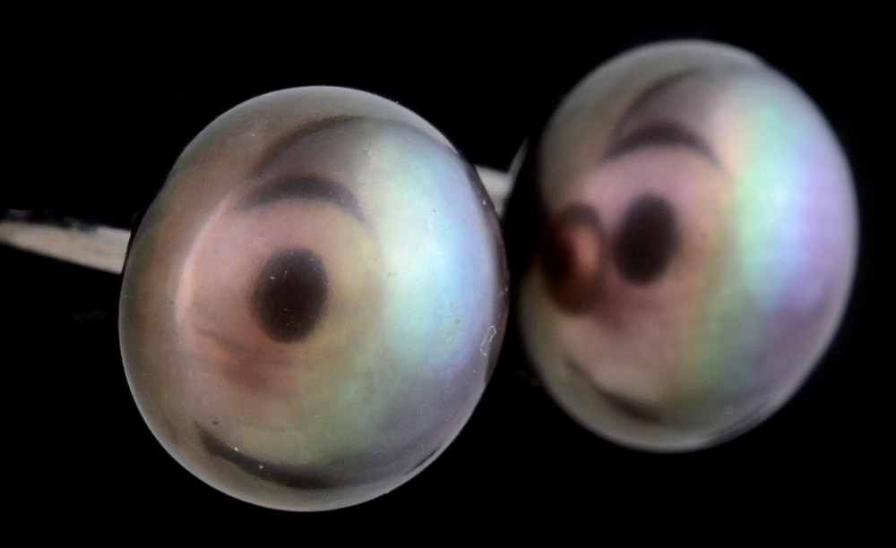 Sterling Silver and Black Cultured Pearl Studs