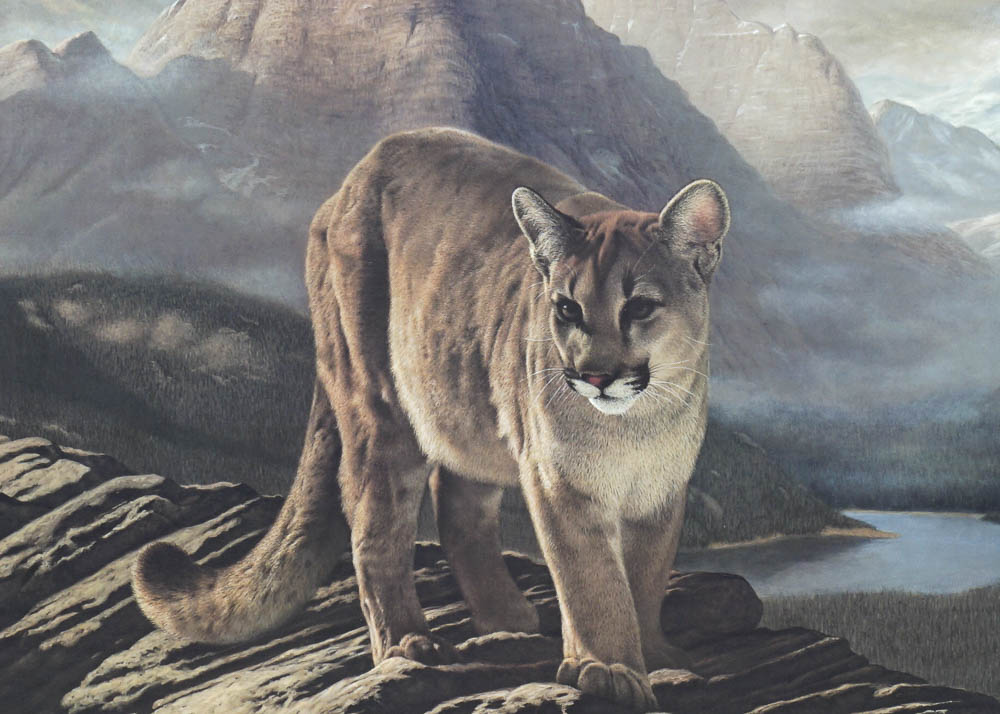 Signed Charles Frace "Cougar" Print
