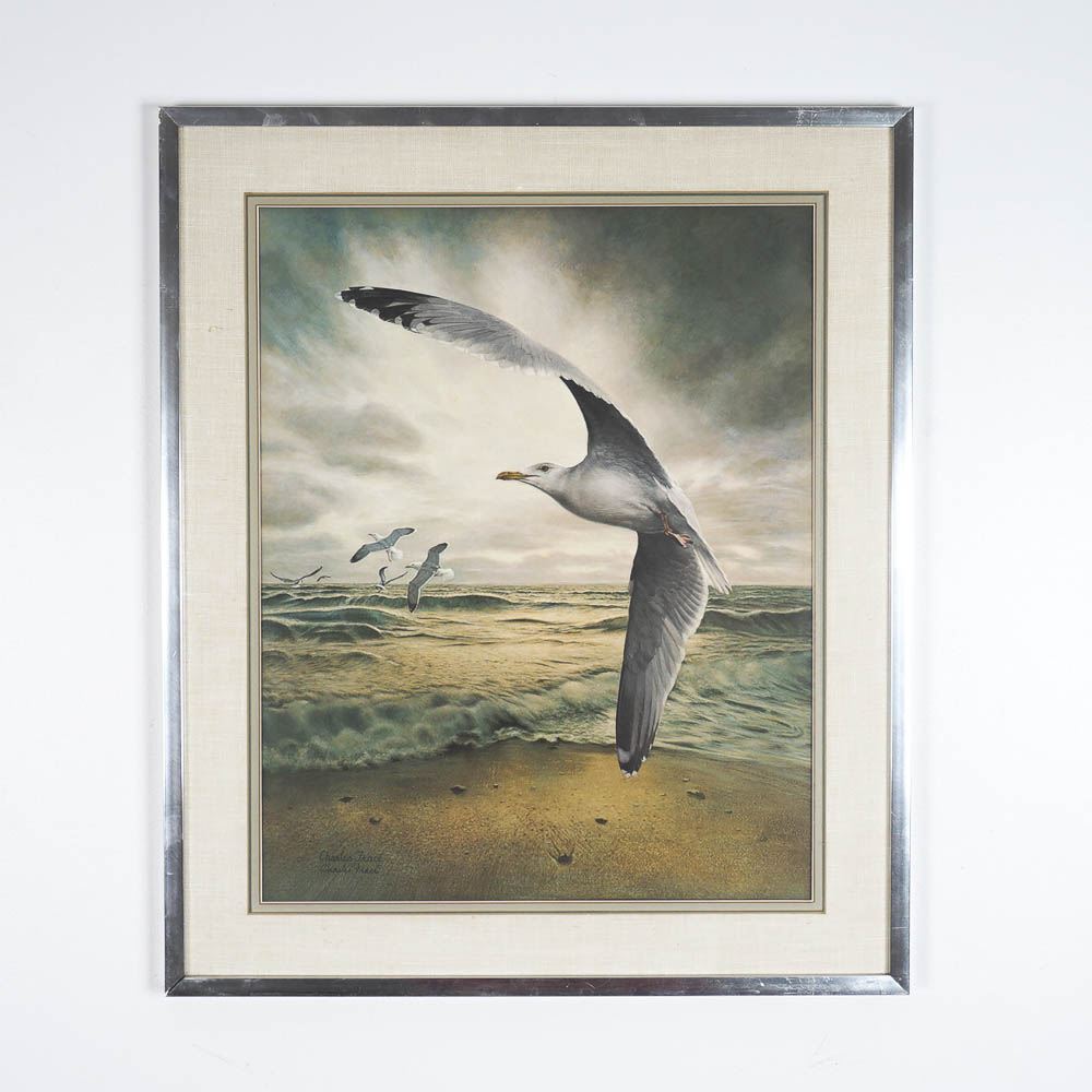 Charles Fracé SIgned Offset Lithograph "Herring Gull"