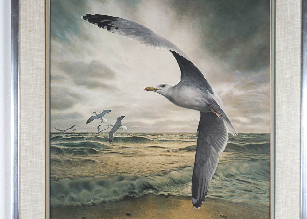 Charles Fracé SIgned Offset Lithograph "Herring Gull"