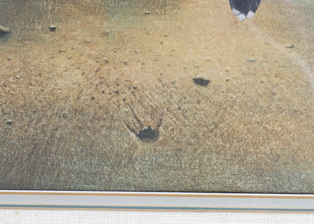 Charles Fracé SIgned Offset Lithograph "Herring Gull"