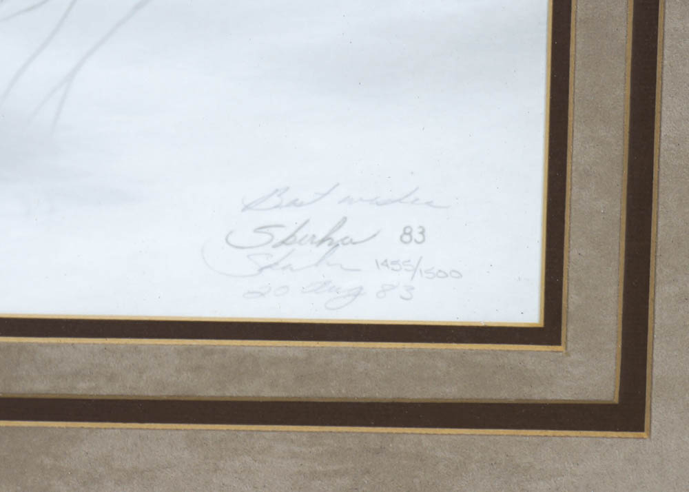 Signed and Numbered Peter Skirka "The Pursuit" Print