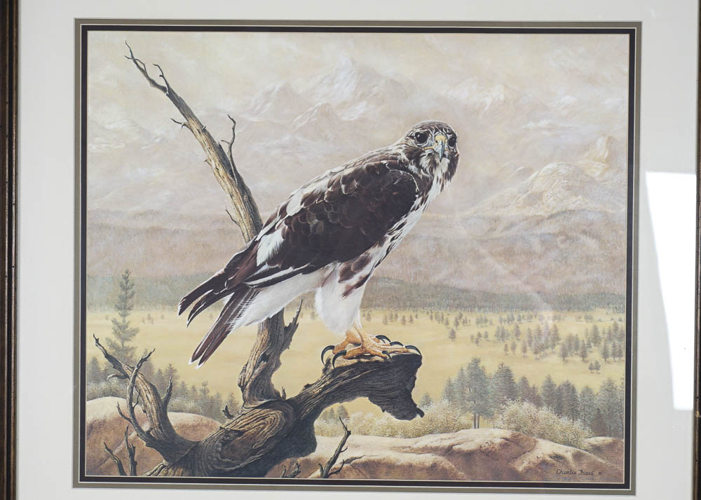 Signed Charles Frace Hawk Print