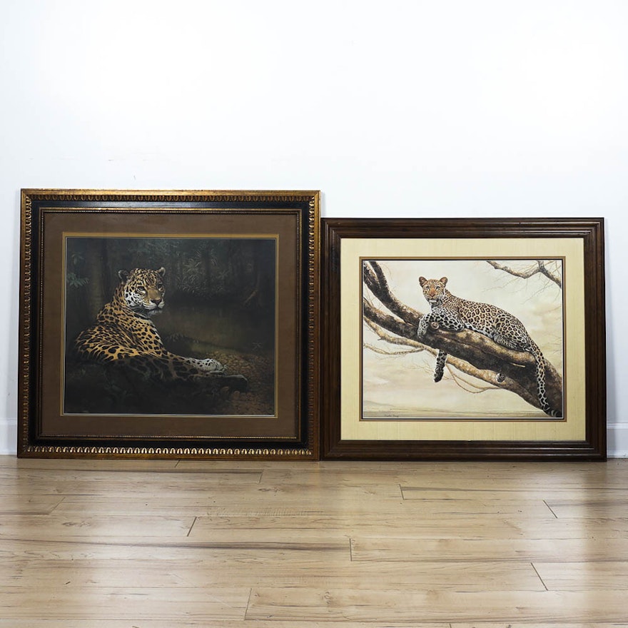 Two Charles Fracé Jaguar Prints