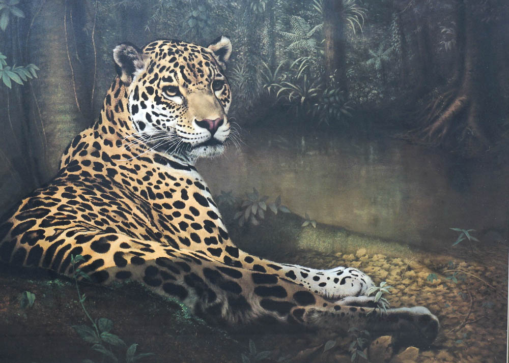 Two Charles Fracé Jaguar Prints