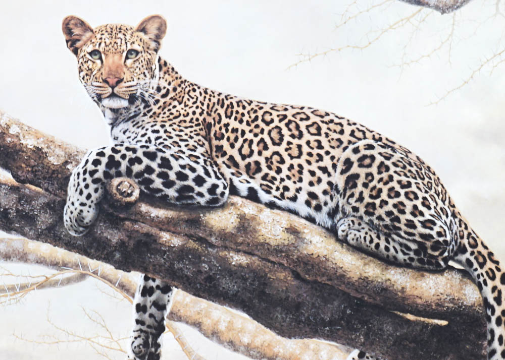Two Charles Fracé Jaguar Prints
