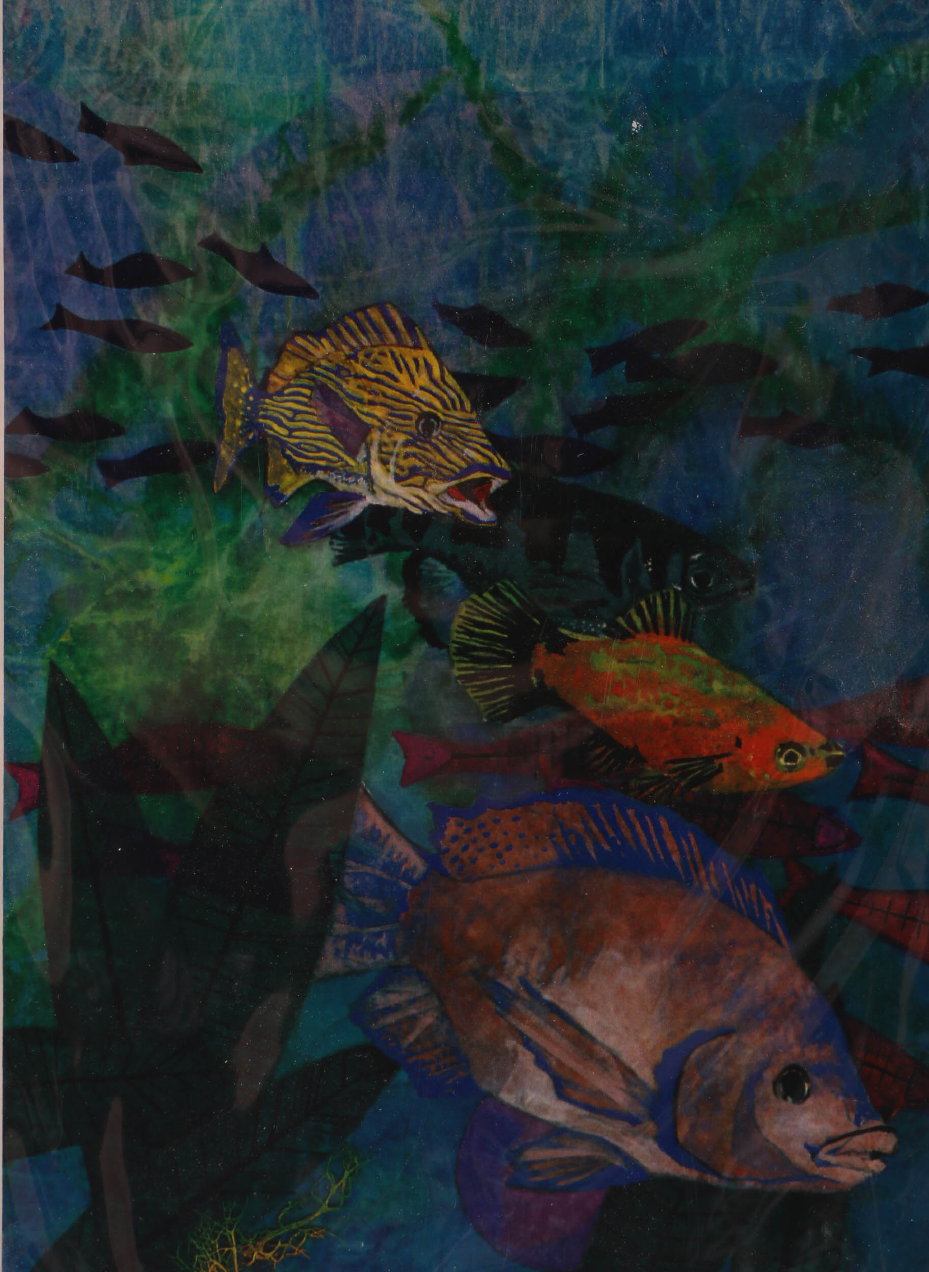 Original Print and Signed Watercolor of Fish