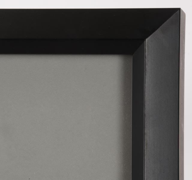 Professionally Framed Cincinnati Mighty Ducks Hockey Jersey