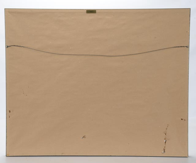 Professionally Framed Cincinnati Mighty Ducks Hockey Jersey