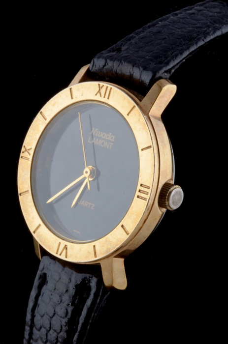 Women's Nivada Lamont Watch