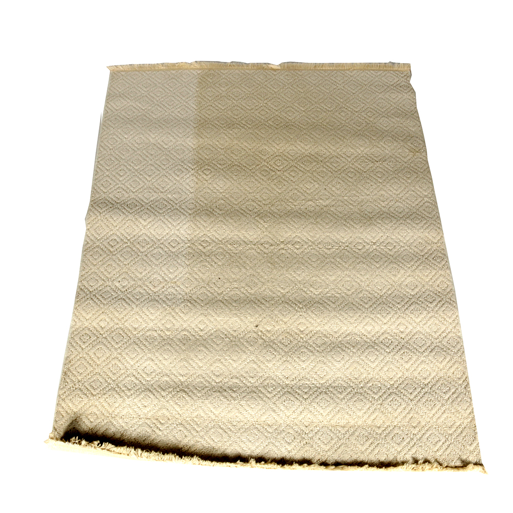 Cream Area Rug with Fringe