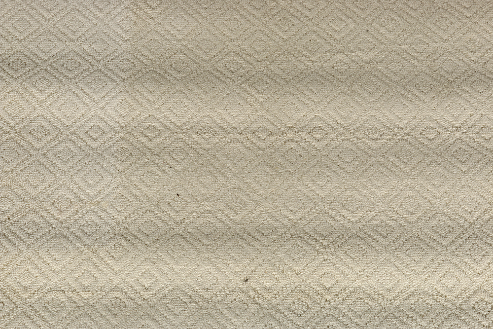 Cream Area Rug with Fringe