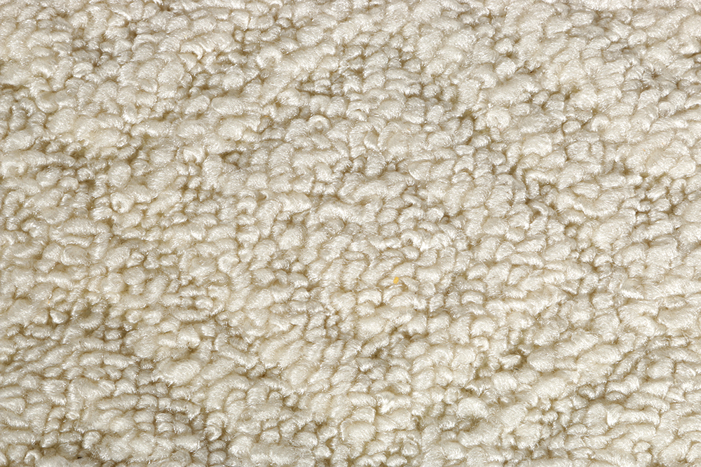 Cream Area Rug with Fringe