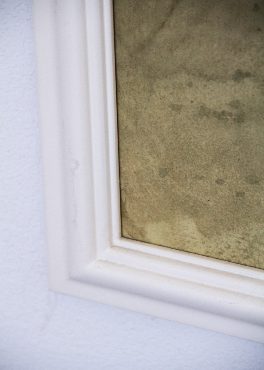 Hand Painted Gracie Watercolor Wallpaper Panels, Set of 4