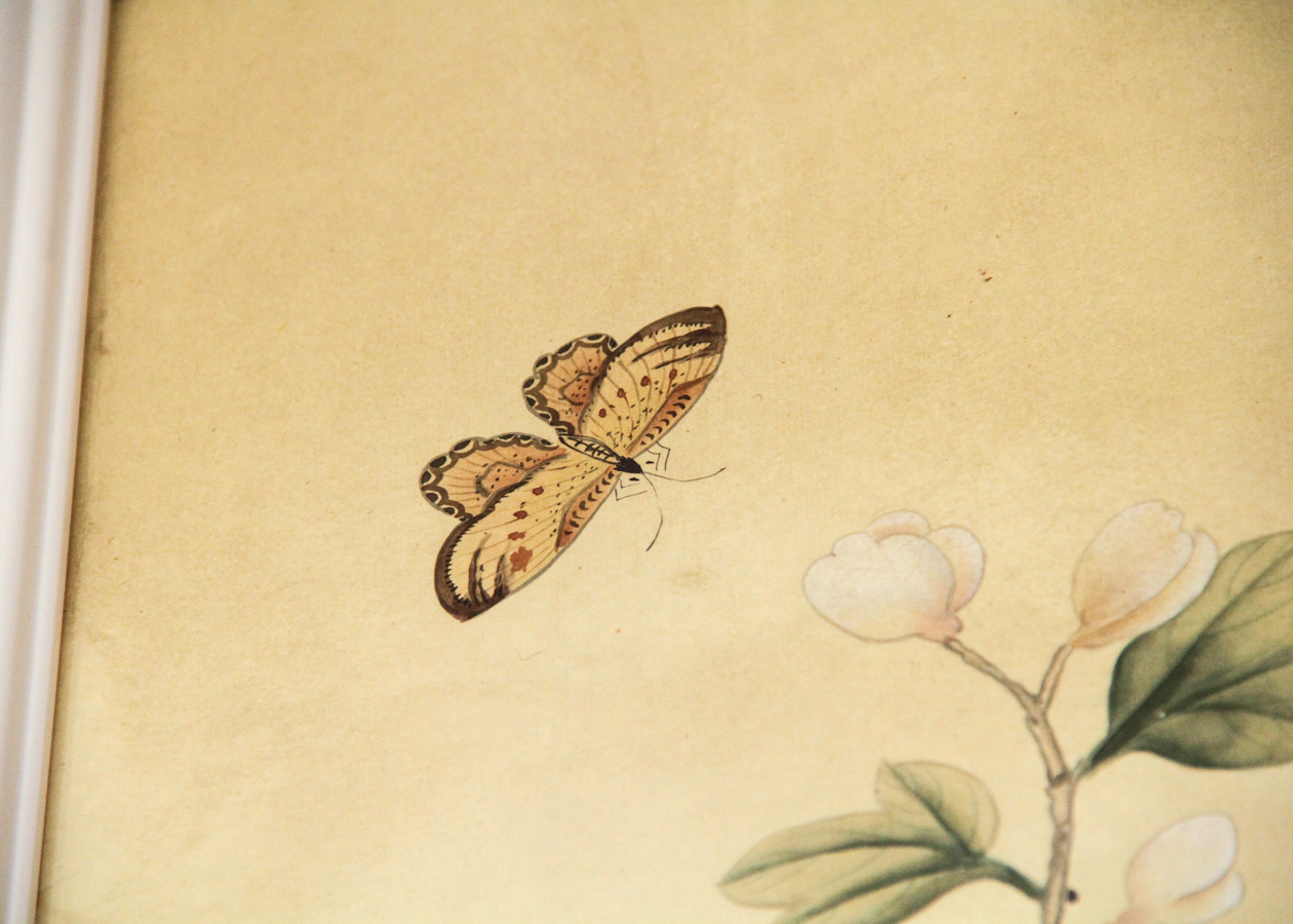 Hand Painted Gracie Watercolor Wallpaper Panels, Set of 4