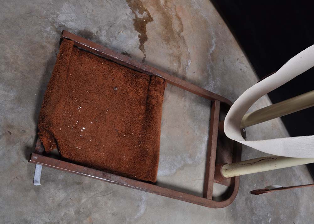 Sears Vintage Exerciser