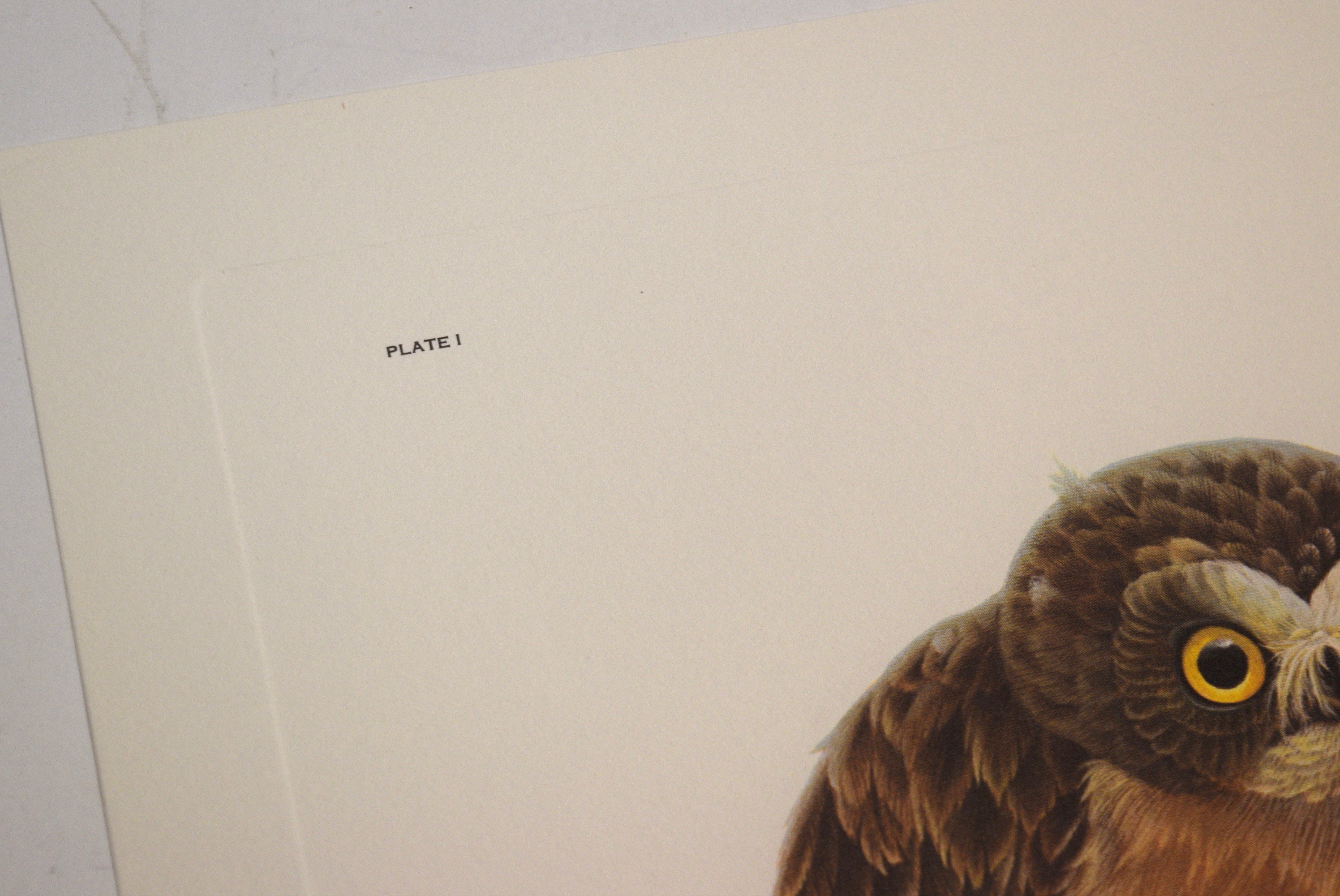 John A. Ruthven 'Saw Whet Owls' Limited Edition Signed Lithograph