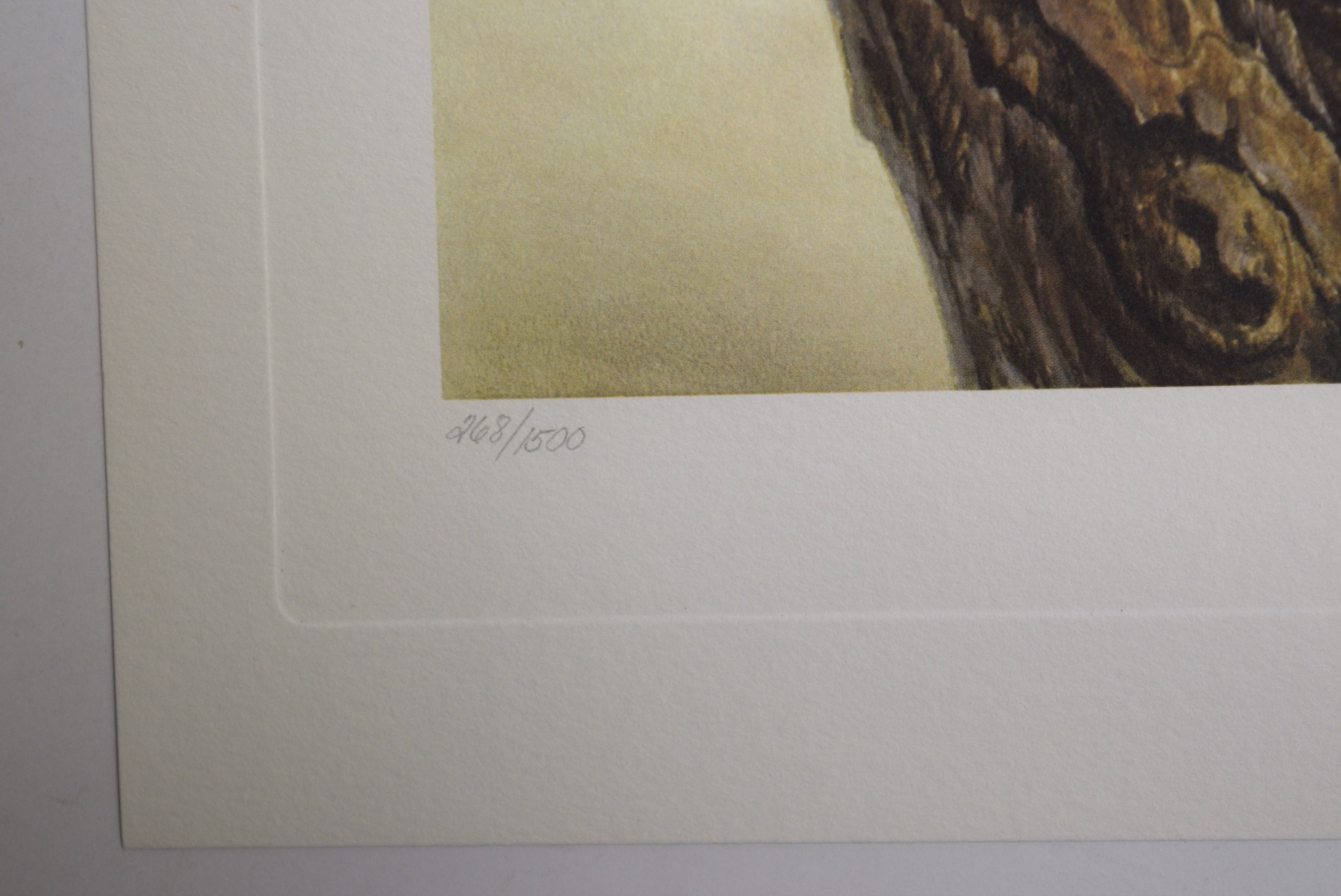 John A. Ruthven 'Saw Whet Owls' Limited Edition Signed Lithograph